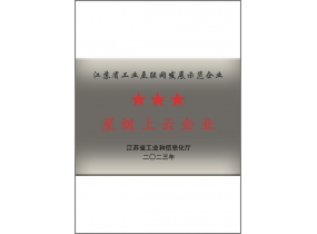 星級(jí)上云企業(yè)